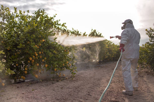 Pest Prevention Services in Hagerman, ID